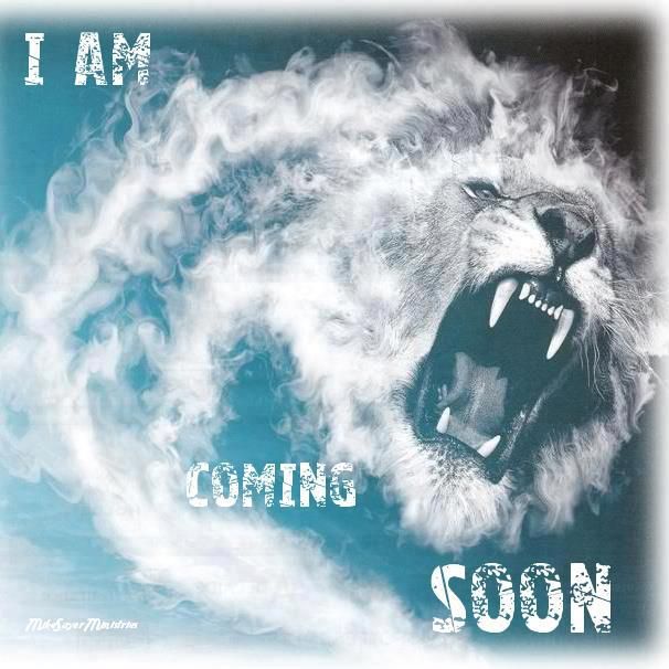 8dc9973818bacdccef1a75a20873eba5