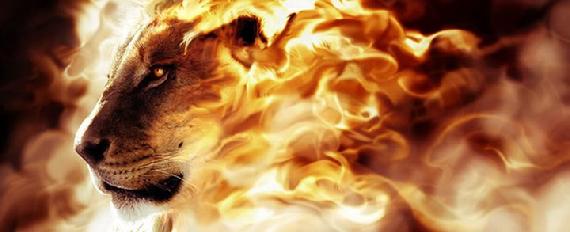 570_lion1
